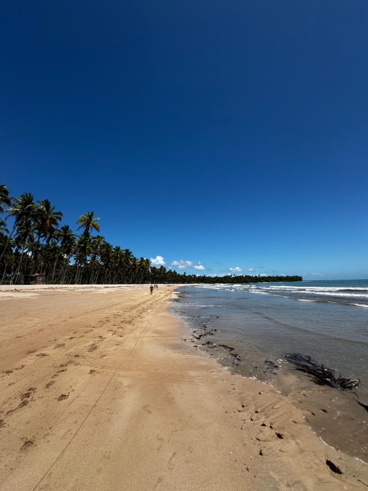 Pousada Mare Alta Em Boipeba Velha Boipeba Exteriör bild